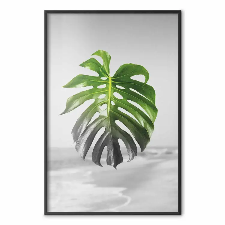 Monstera Leaf - Green tropical plant and gray seaside landscape