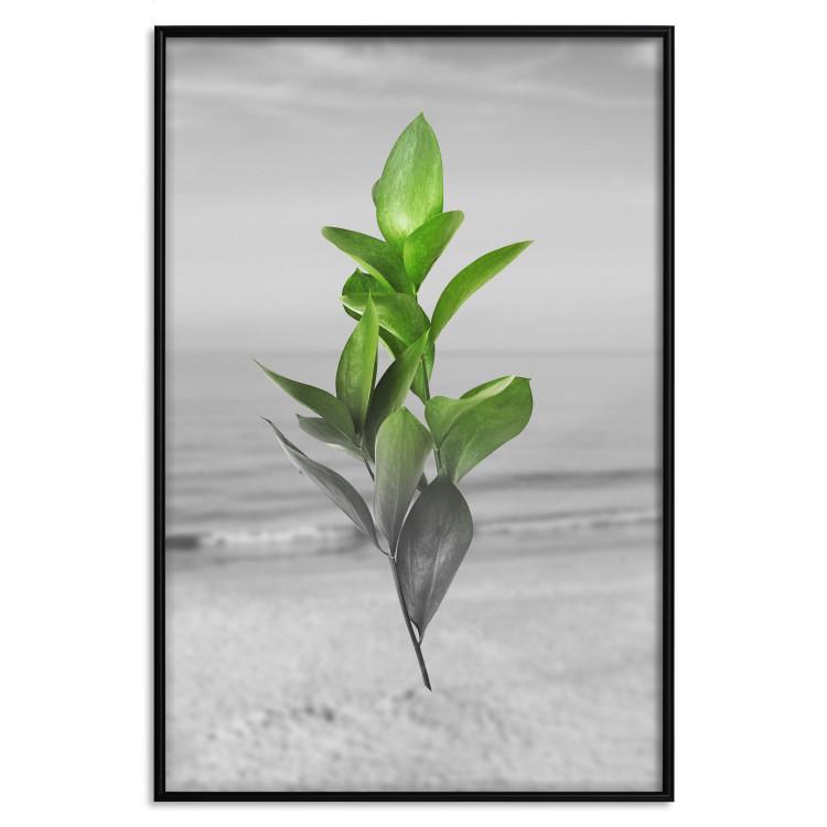 Poster Green Branches - Living leaves on a background of a gray seascape