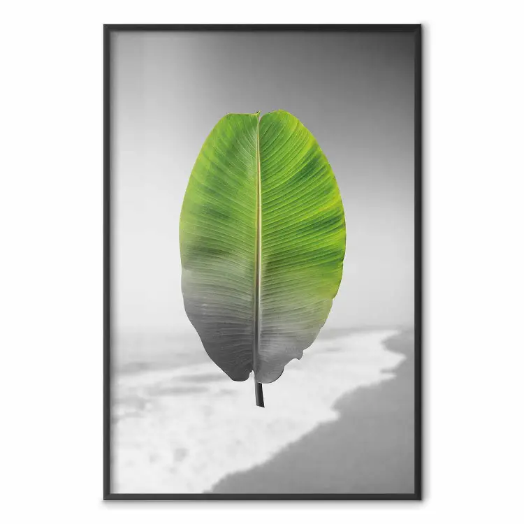 Banana Leaf - Green tropical plant on a gray landscape