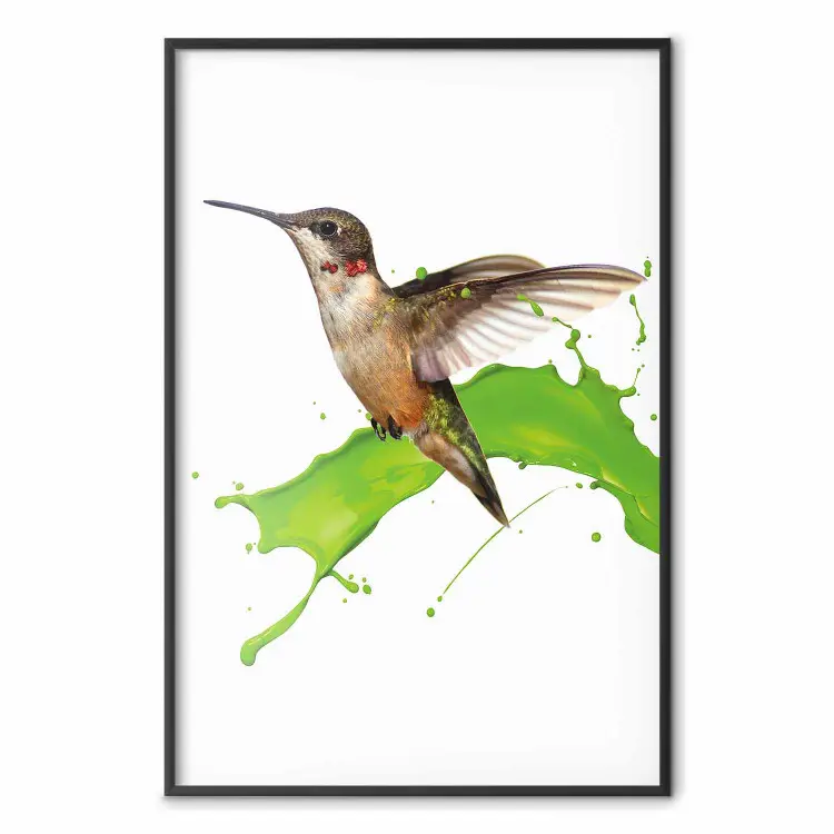 Hummingbird in Flight - Brown bird and spilled paint in green color