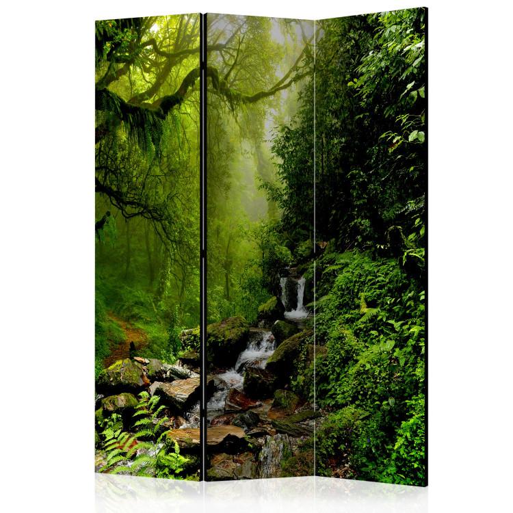 Room Divider Fairy Tale Forest - forest landscape with a waterfall flowing over stones