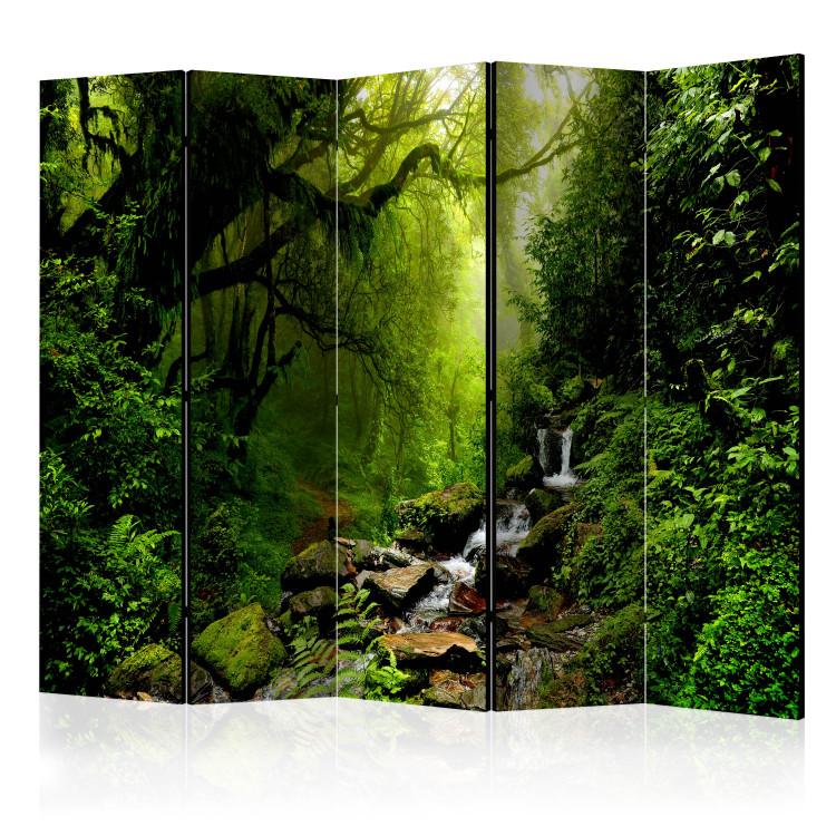 Room Divider Fairy Tale Forest II - landscape of green forest with waterfall and stones