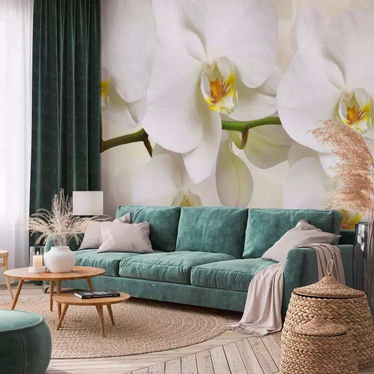 Wall Mural Orchid branch - delicate composition with close-up on white flowers