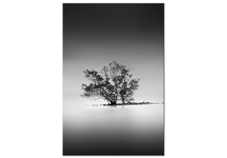 Canvas Print Tree in the Mist (1-part) - Landscape in Black and White