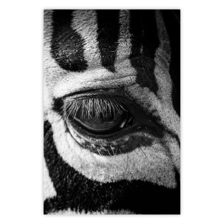 Poster Close-up of a zebra's eye - black and white composition with animal motif