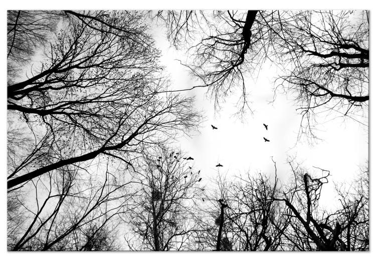 Canvas Print Winter Birds' Sky (1-part) - Black and White Landscape of Nature