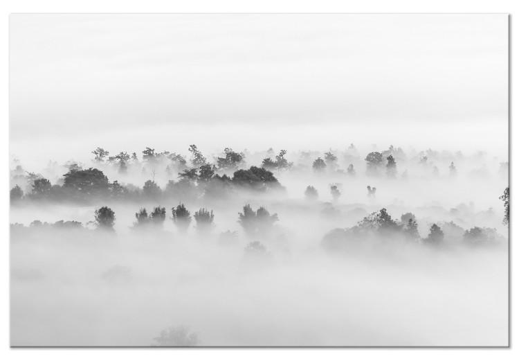 Canvas Print Misty Forest Landscape (1-part) - Trees Veiled Under White Curtain
