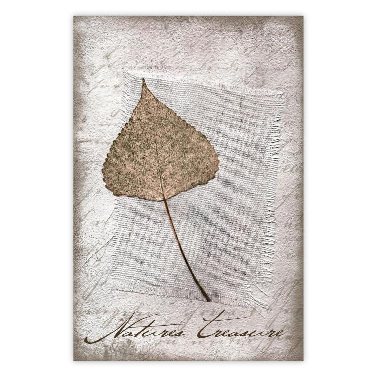 Poster Nature's treasures - vintage composition with a beige leaf and texts
