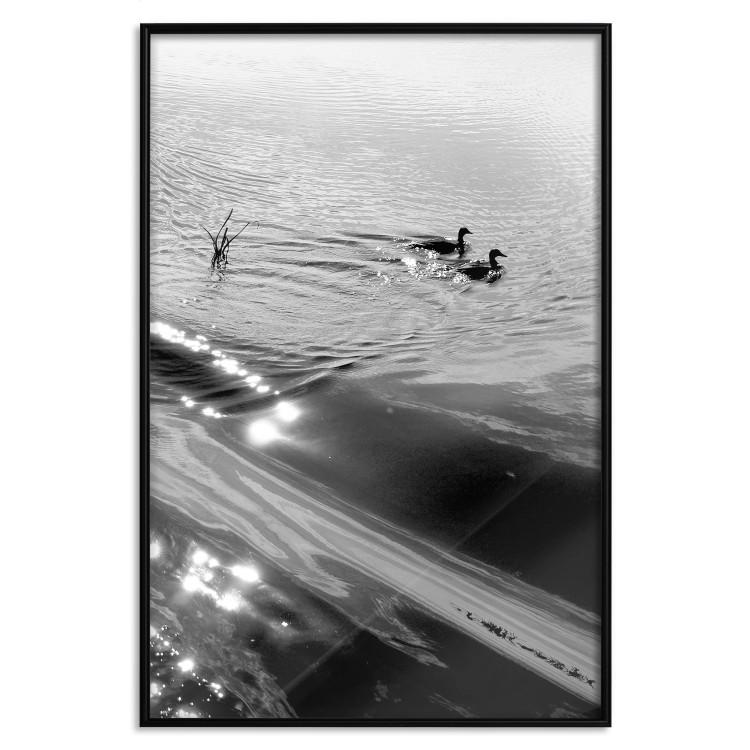 Poster Ducks - black and white landscape with two water birds in the middle of a lake