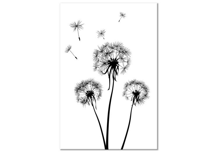 Canvas Print Dandelion Seeds in Flight (1-part) - Black and White Nature of Flowers