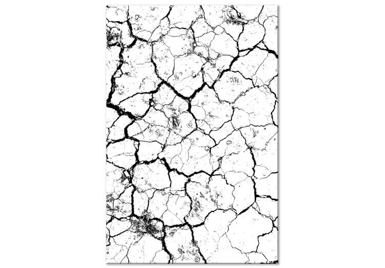Canvas Print Drought - a minimalist black and white photograph of cracked sand