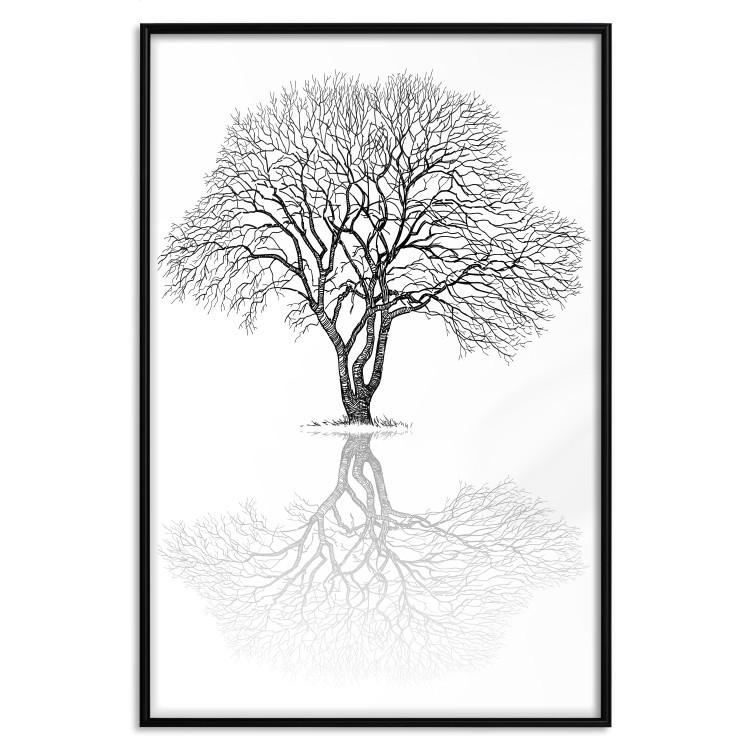 Poster Tree reflection - black and white simple composition with a plant motif