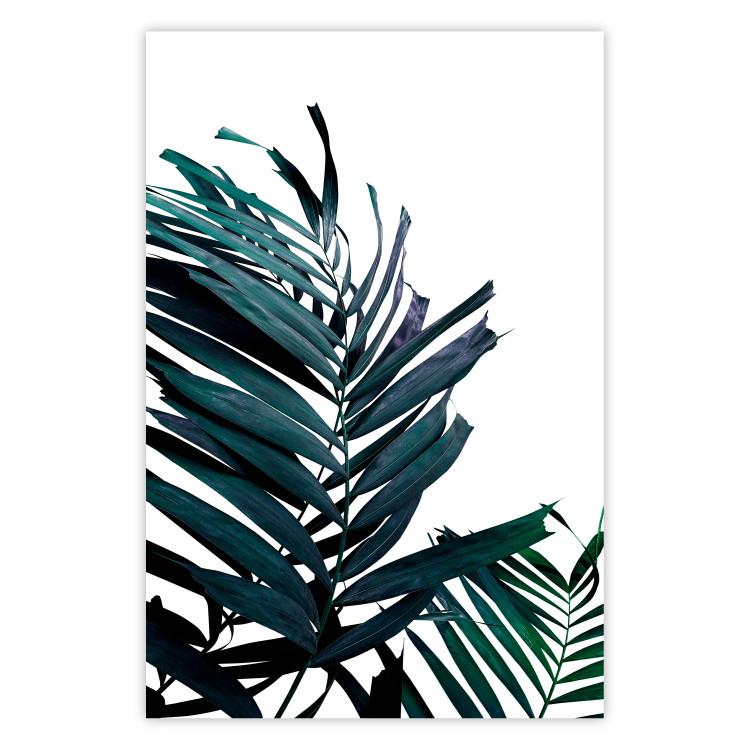 Poster Emerald leaves - white background and tropical palm in green