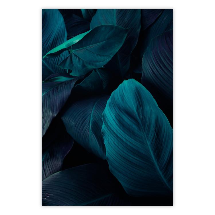 Poster Jungle night - composition with large dark green tropical leaves