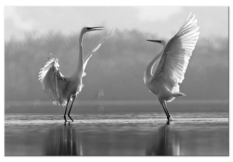 Canvas Print Swan Love (1 Part) Wide