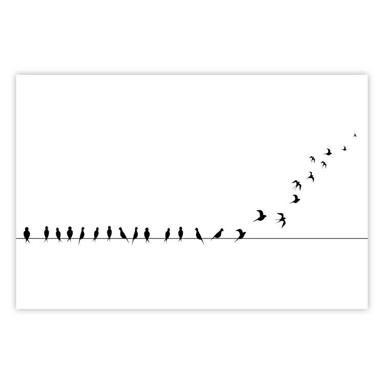 Poster Let's Fly! - black and white composition with sitting and flying birds