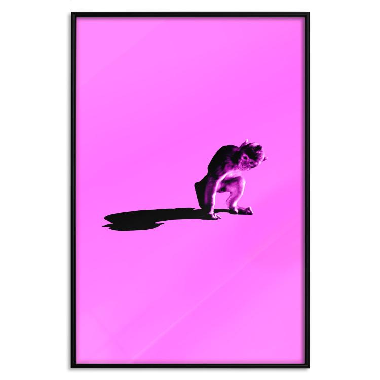 Poster Little Monkey - looking down animal on a pink background