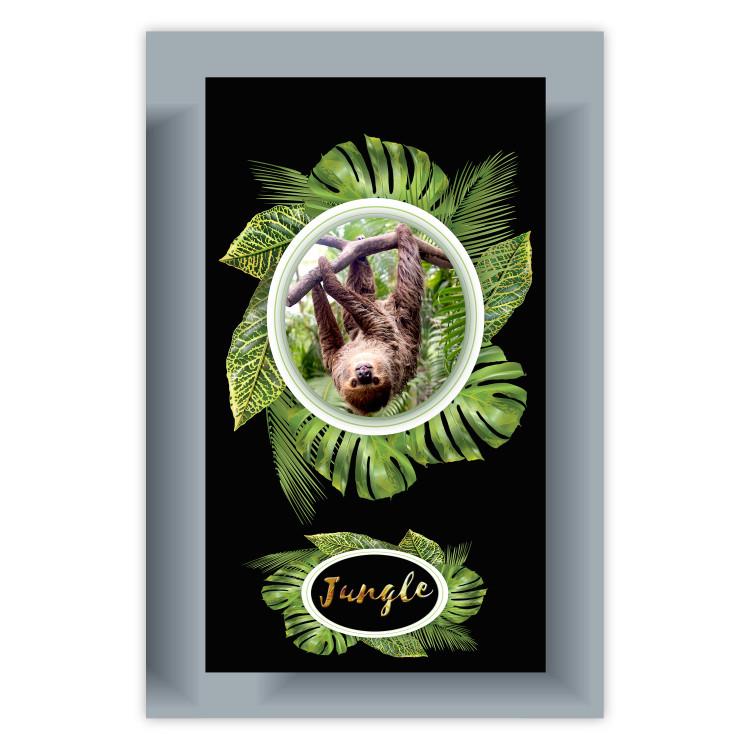 Poster Sloth - brown mammal and tropical green leaves on a black background