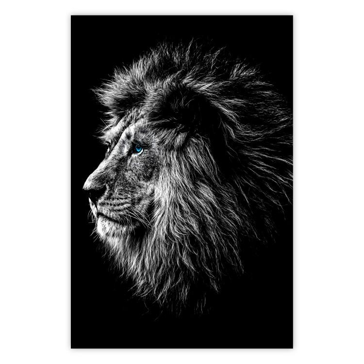 Poster Black and White King - composition with a dignified lion with blue eyes