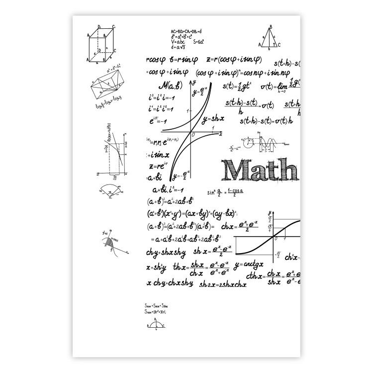 Poster Mathematics - black and white mathematical equations and geometric figures