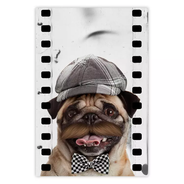 Poster Pug in a Hat - funny fantasy with a mustached dog with a black and white bowtie