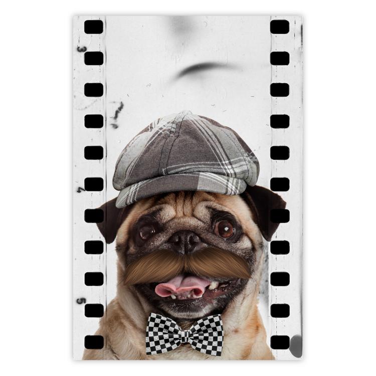 Poster Pug in a Hat - funny fantasy with a mustached dog with a black and white bowtie