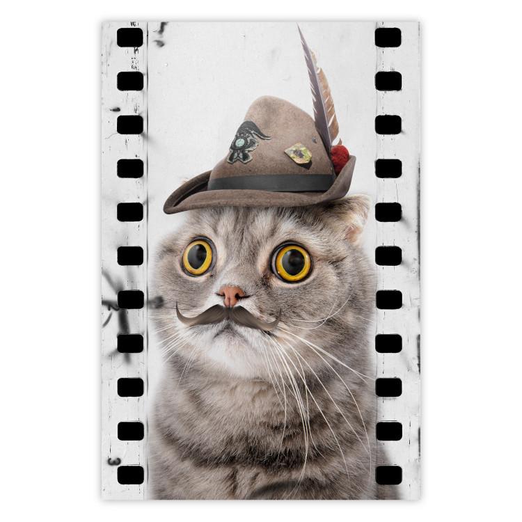 Poster Cat in a Hat - funny yellow-eyed animal with a mustache on film tape