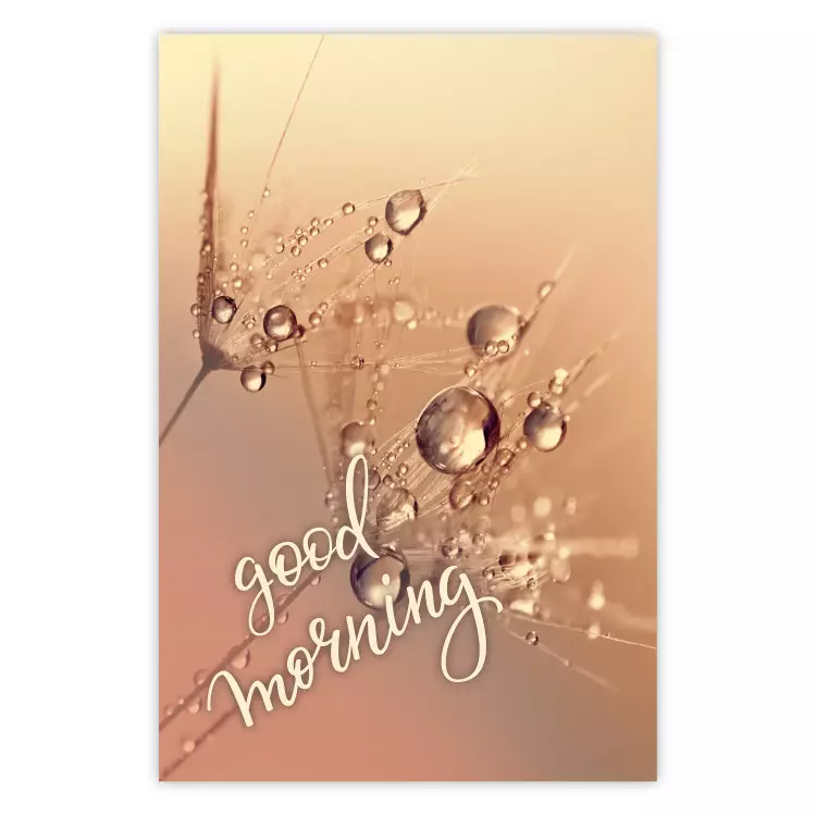 Poster Good morning - water drops on dandelions and warm-colored background
