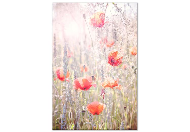 Canvas Print Colors of Spring (1-part) - Blooming Poppies in Flowery Meadow