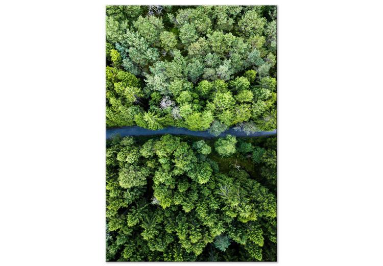 Canvas Print Road Through Forest (1 Part) Vertical