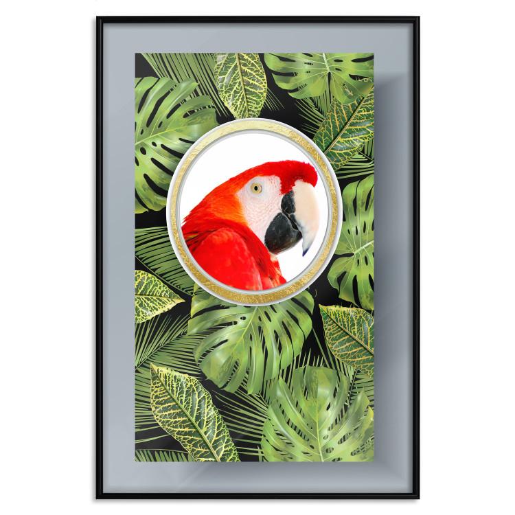 Poster Parrot in the jungle - colorful bird on a background of green tropical leaves