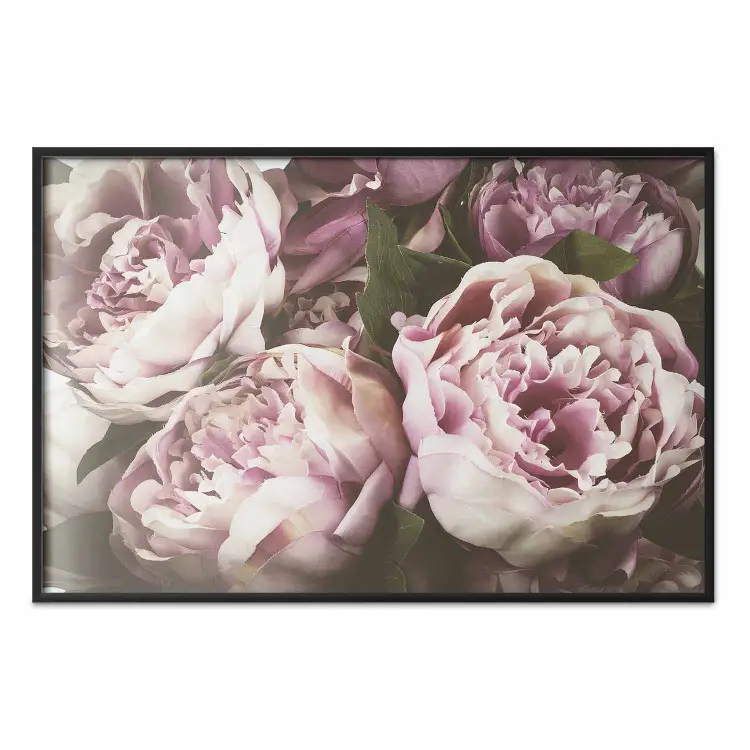 Pink Peonies - floral composition with flowers in pastel colors