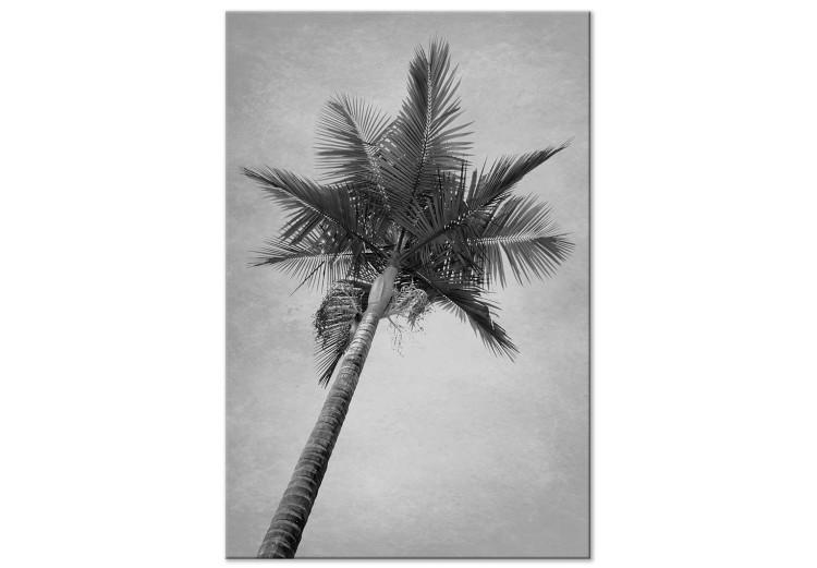 Canvas Print Under a palm tree - black and white photograph of a palm on the sky