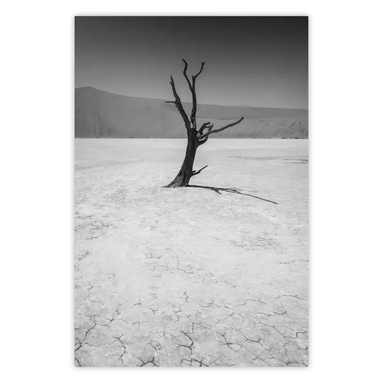 Poster Tree in the Desert - black and white landscape of leafless plant on sand