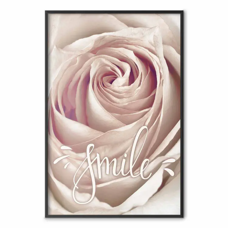 Smile! - light pink rose flower and white English text