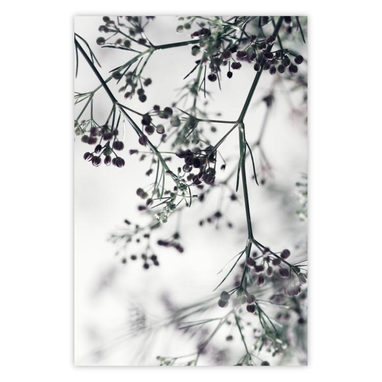 Poster Blooming Branches - black and white Scandinavian landscape with plant motifs