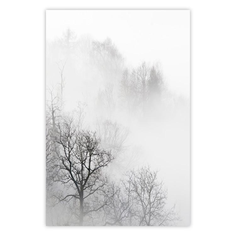 Poster Trees in the Mist - black and white composition overlooking a misty forest