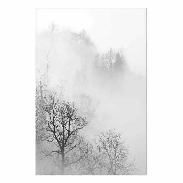 Poster Trees In The Fog [Poster]