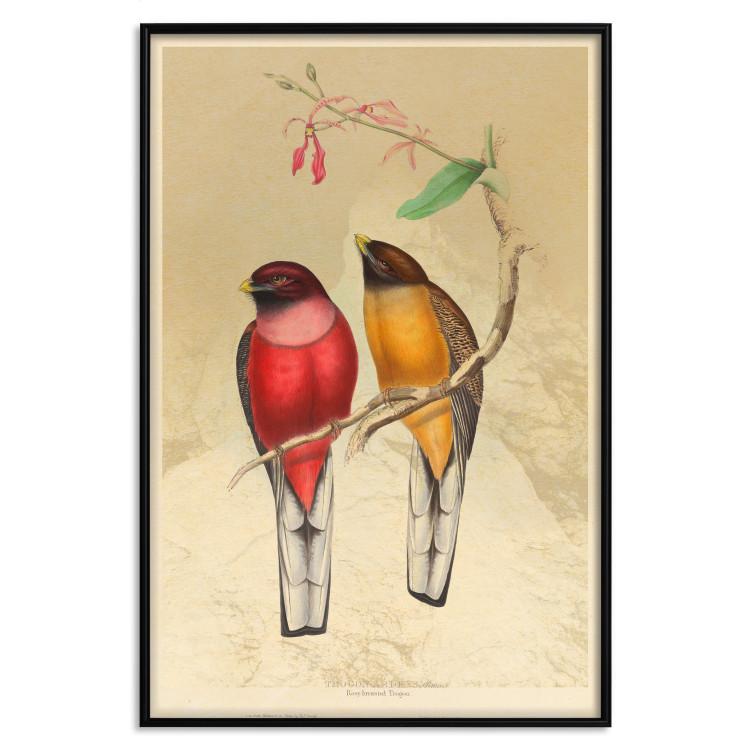 Poster Birds on Branch - colorful composition with a green leaf and a flower