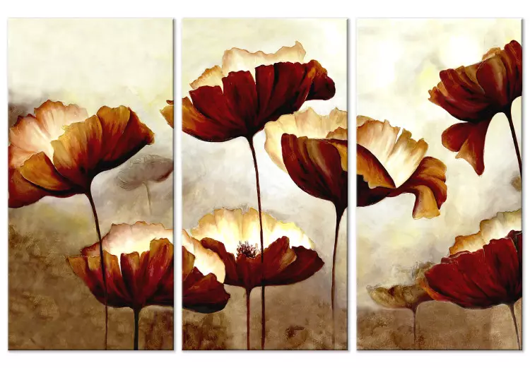 Canvas Print Shining Poppies (3 Parts)