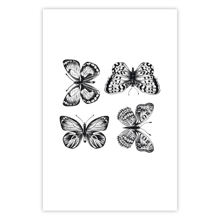 Poster Four Butterflies - simple black and white composition with scaled-winged insects