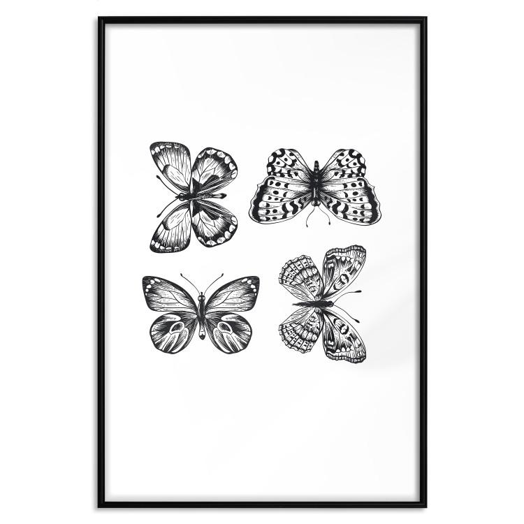 Poster Four Butterflies - simple black and white composition with scaled-winged insects