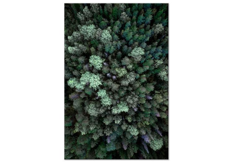 Canvas Print Flying Over Forest (1 Part) Vertical