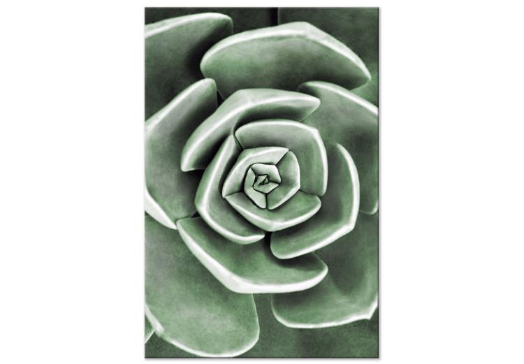 Canvas Print Green Rebirth (1-part) - Cactus Nature in Sage Green Shade