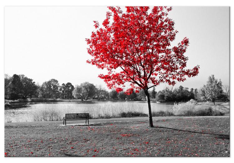 Canvas Print Autumn Tone (1-part) - Gray Photo of Red Tree