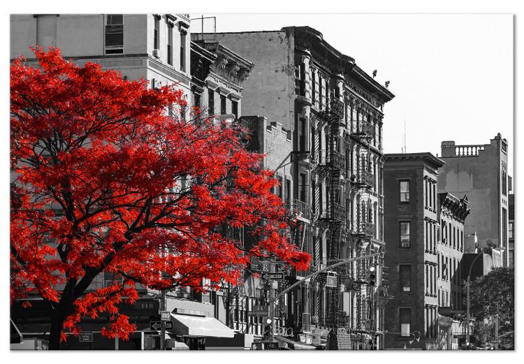 Canvas Print Street Contrast (1-part) - Architecture Photo of New York