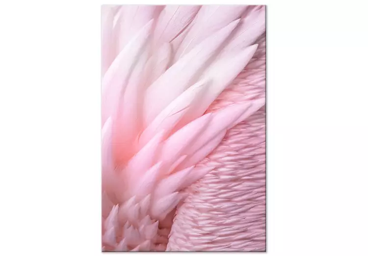 Pink feathers - the delicacy and subtlety of the unique bird nature