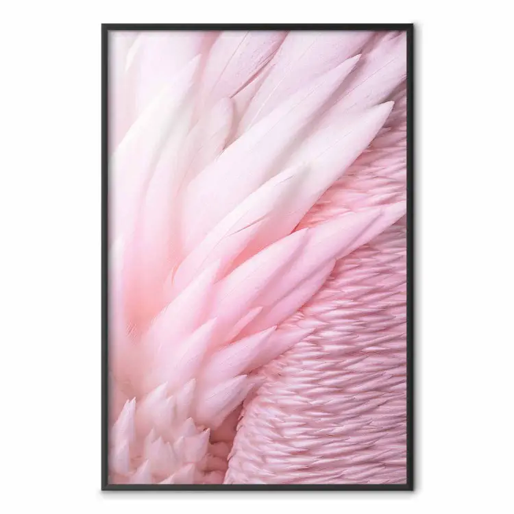 Angelic Feathers - composition with delicate feathers in pink color