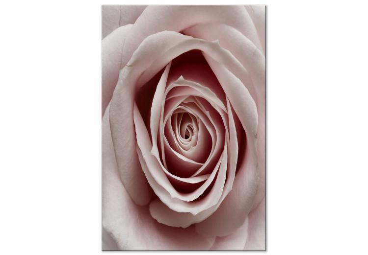 Canvas Print Pink Charm (1-part) - Blooming Rose in Pastel Shade