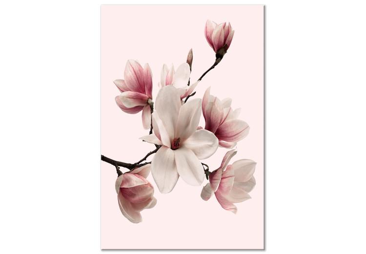 Canvas Print Spring Greeting (1-part) - Magnolia Flower in Delicate Hue